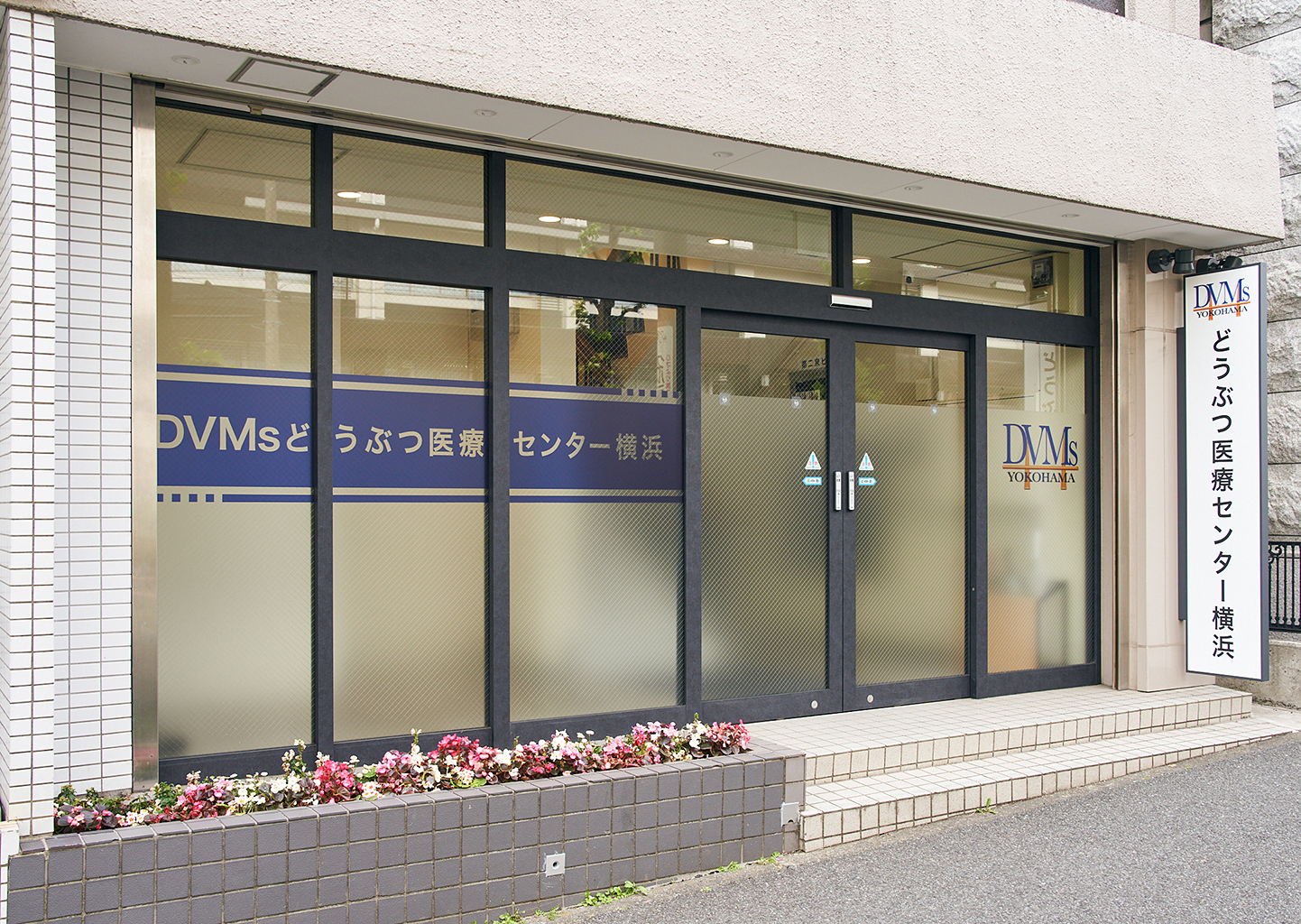 ABOUT US DVMsとは