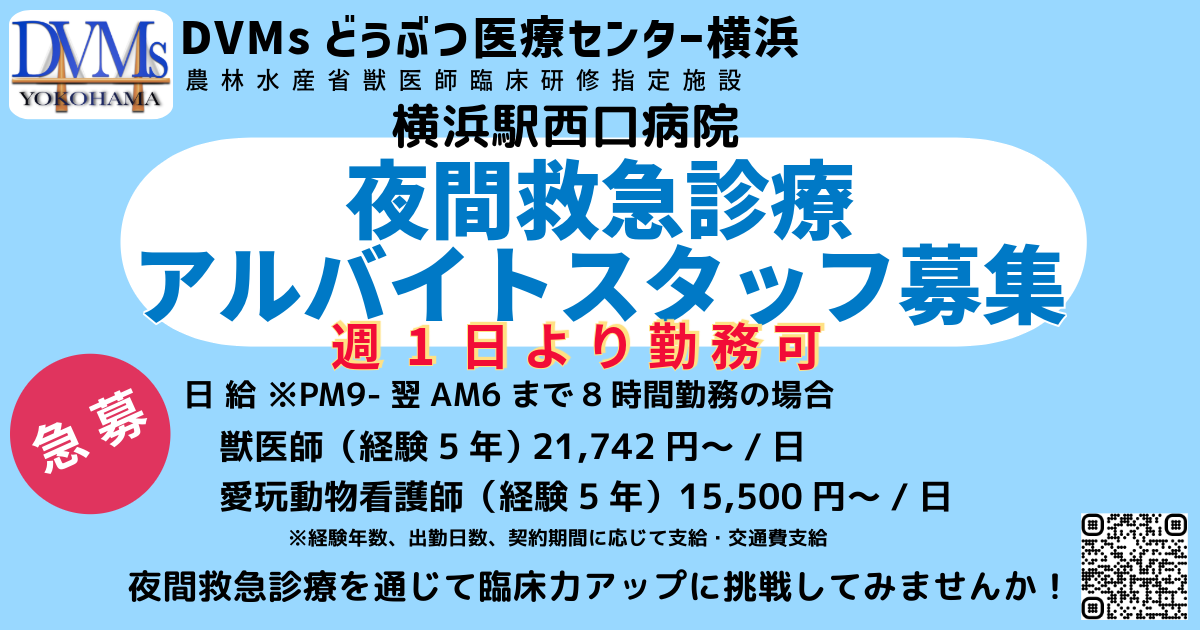夜間救急診療 アルバイト募集